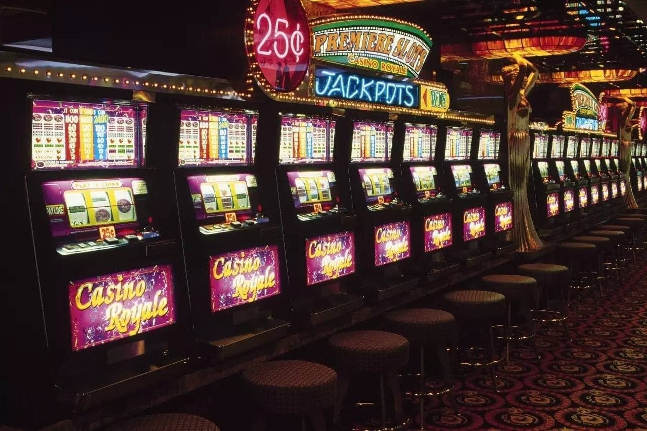 luckycatpg - Slot Bet Oficial