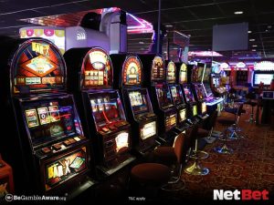 luckycatpg - Cassino Bet Login