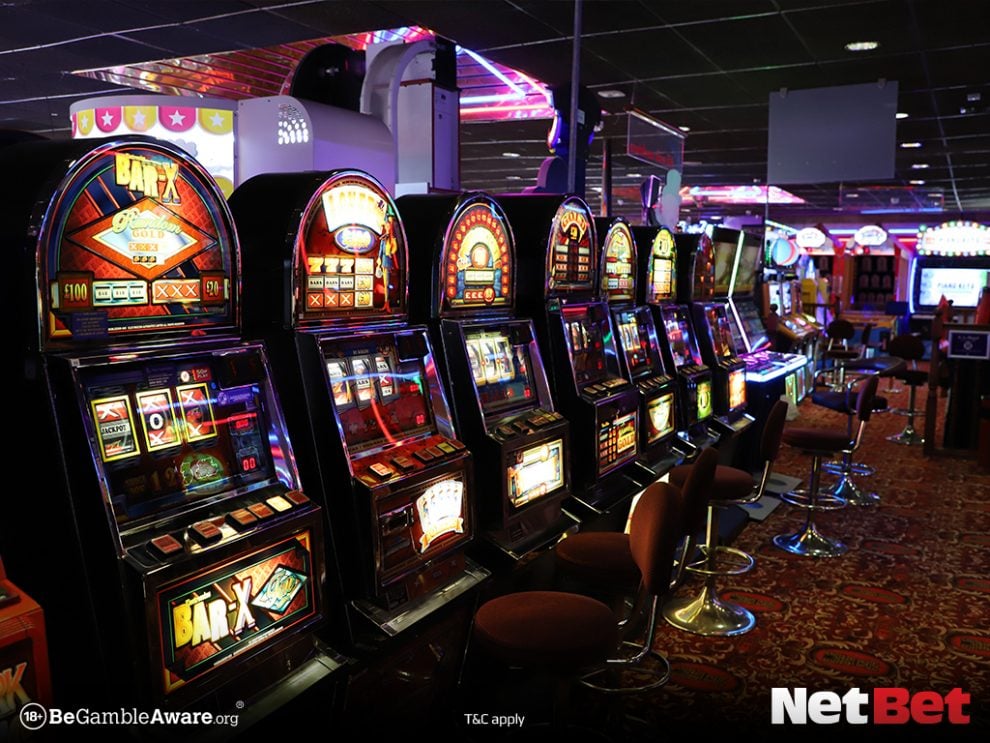 luckycatpg - App para Jogos Bet